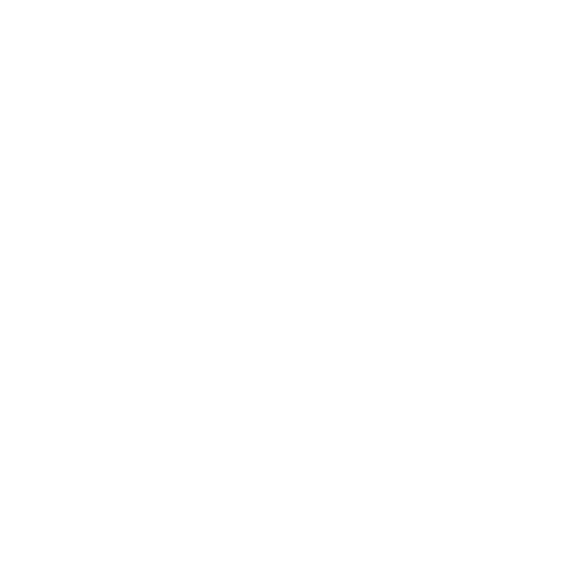 Program Code Icon